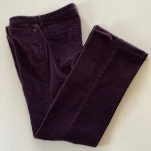 Banana Republic size 6 deep eggplant trouser-cut corduroys